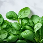 Spinat: Power für deine Ernährung + 5 Spinatrezepte